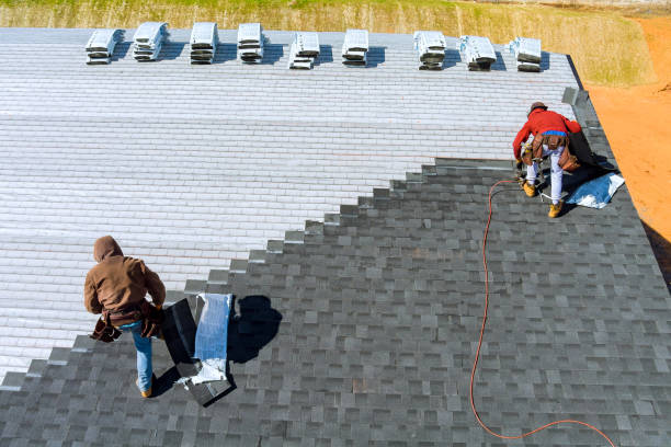 Best Chimney Flashing Repair  in Spring Park, MN