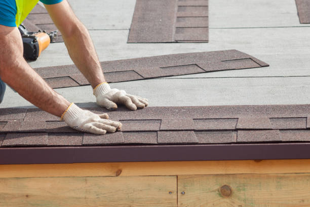 Best Gutter Installation and Repair  in Spring Park, MN